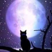 ヒメ日記 2025/06/05 00:39 投稿 りこ CELEB FACE FUKUOKA