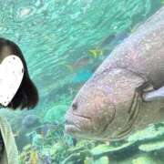 ヒメ日記 2025/11/13 12:19 投稿 みのり CELEB FACE FUKUOKA