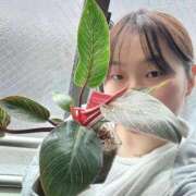 ヒメ日記 2026/02/11 06:09 投稿 みのり CELEB FACE FUKUOKA