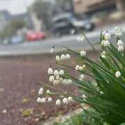 ヒメ日記 2026/04/02 12:29 投稿 みのり CELEB FACE FUKUOKA