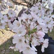 みのり 80%位でいいんだよ☺️ CELEB FACE FUKUOKA