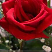 ヒメ日記 2025/05/13 16:09 投稿 みさ CELEB FACE FUKUOKA