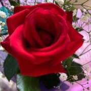 ヒメ日記 2025/07/21 13:29 投稿 みさ CELEB FACE FUKUOKA