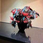 みさ はやいですね CELEB FACE FUKUOKA