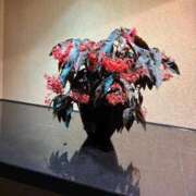 ヒメ日記 2026/03/03 11:39 投稿 みさ CELEB FACE FUKUOKA