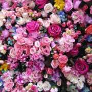 ヒメ日記 2025/04/01 12:19 投稿 さつき CELEB FACE FUKUOKA