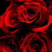 ヒメ日記 2025/04/09 23:39 投稿 さつき CELEB FACE FUKUOKA