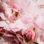 ヒメ日記 2025/04/26 16:49 投稿 さつき CELEB FACE FUKUOKA