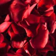 ヒメ日記 2025/05/23 20:18 投稿 さつき CELEB FACE FUKUOKA