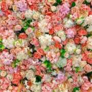 ヒメ日記 2025/07/30 18:10 投稿 さつき CELEB FACE FUKUOKA