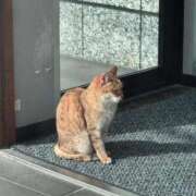 ヒメ日記 2026/02/05 11:59 投稿 さつき CELEB FACE FUKUOKA