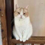 ヒメ日記 2026/02/07 22:43 投稿 さつき CELEB FACE FUKUOKA