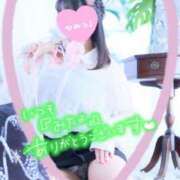 ヒメ日記 2025/04/15 12:19 投稿 りほ CELEB FACE FUKUOKA