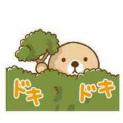 ヒメ日記 2025/04/30 22:39 投稿 りほ CELEB FACE FUKUOKA