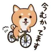 ヒメ日記 2025/05/12 23:39 投稿 りほ CELEB FACE FUKUOKA