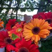 ヒメ日記 2025/07/31 16:39 投稿 なるみ CELEB FACE FUKUOKA