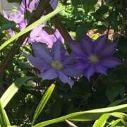 ヒメ日記 2025/09/05 19:49 投稿 なるみ CELEB FACE FUKUOKA