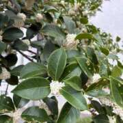 ヒメ日記 2025/11/16 21:09 投稿 なるみ CELEB FACE FUKUOKA