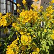 ヒメ日記 2026/02/17 23:29 投稿 なるみ CELEB FACE FUKUOKA