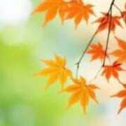 ヒメ日記 2025/11/11 19:49 投稿 あやせ CELEB FACE FUKUOKA