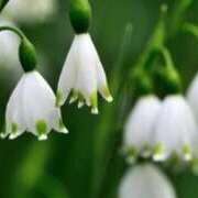 あやせ 寒いですね CELEB FACE FUKUOKA