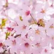 ヒメ日記 2026/04/15 18:49 投稿 あやせ CELEB FACE FUKUOKA