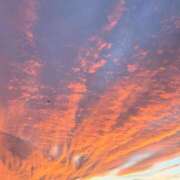 ヒメ日記 2025/11/20 11:33 投稿 芽衣/めい 五反田アネージュ（ユメオト）