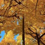 芽衣/めい 寒すぎる🥶 五反田アネージュ（ユメオト）