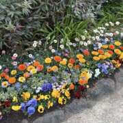 ヒメ日記 2026/03/17 12:26 投稿 芽衣/めい 五反田アネージュ（ユメオト）