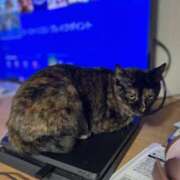 ヒメ日記 2025/04/17 16:33 投稿 くれあ 池袋人妻城