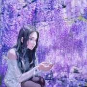 ヒメ日記 2025/04/23 16:18 投稿 くれあ 池袋人妻城