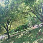 ヒメ日記 2025/05/11 17:18 投稿 くれあ 池袋人妻城