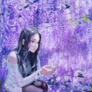 ヒメ日記 2025/05/15 00:03 投稿 くれあ 池袋人妻城