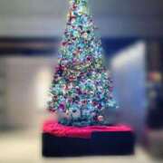 ヒメ日記 2025/11/28 10:31 投稿 サツキ エピソード(品川)