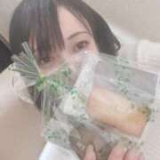 ヒメ日記 2025/03/25 22:34 投稿 相葉みか グランエステ東京 品川（シンデレラグループ）