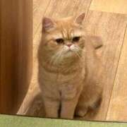 ヒメ日記 2025/04/01 12:10 投稿 相葉みか グランエステ東京 品川（シンデレラグループ）