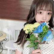 ヒメ日記 2025/11/27 00:20 投稿 華瀬 るな アリス女学院 日本橋校