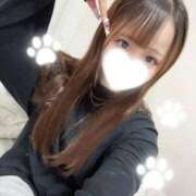 ヒメ日記 2026/01/29 08:48 投稿 華瀬 るな アリス女学院 日本橋校