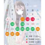 ヒメ日記 2026/03/08 19:21 投稿 華瀬 るな アリス女学院 日本橋校