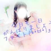 ヒメ日記 2025/04/03 06:46 投稿 えりな 東京妻next (京都グループ)