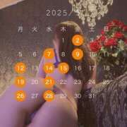 ヒメ日記 2025/05/10 07:40 投稿 えりな 東京妻next (京都グループ)