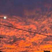 ヒメ日記 2025/09/03 22:26 投稿 えりな 東京妻next (京都グループ)