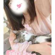 ヒメ日記 2025/10/23 21:33 投稿 ハナ バニーコレクション秋田店