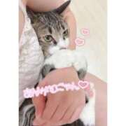 ヒメ日記 2025/10/26 17:33 投稿 ハナ バニーコレクション秋田店