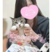 ヒメ日記 2025/10/30 07:04 投稿 ハナ バニーコレクション秋田店