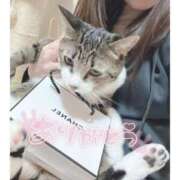 ヒメ日記 2025/10/30 07:33 投稿 ハナ バニーコレクション秋田店