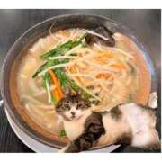 ヒメ日記 2025/11/04 19:43 投稿 ハナ バニーコレクション秋田店