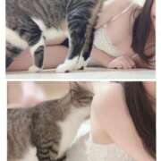 ヒメ日記 2025/11/07 12:23 投稿 ハナ バニーコレクション秋田店