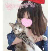 ヒメ日記 2025/11/08 07:48 投稿 ハナ バニーコレクション秋田店