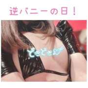 ヒメ日記 2025/11/08 20:06 投稿 ハナ バニーコレクション秋田店